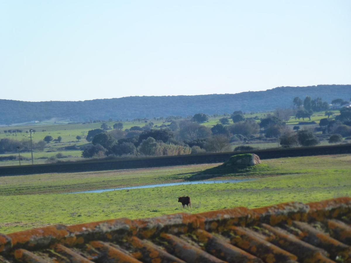 Monte Das Oliveiras Arraiolos Exteriör bild